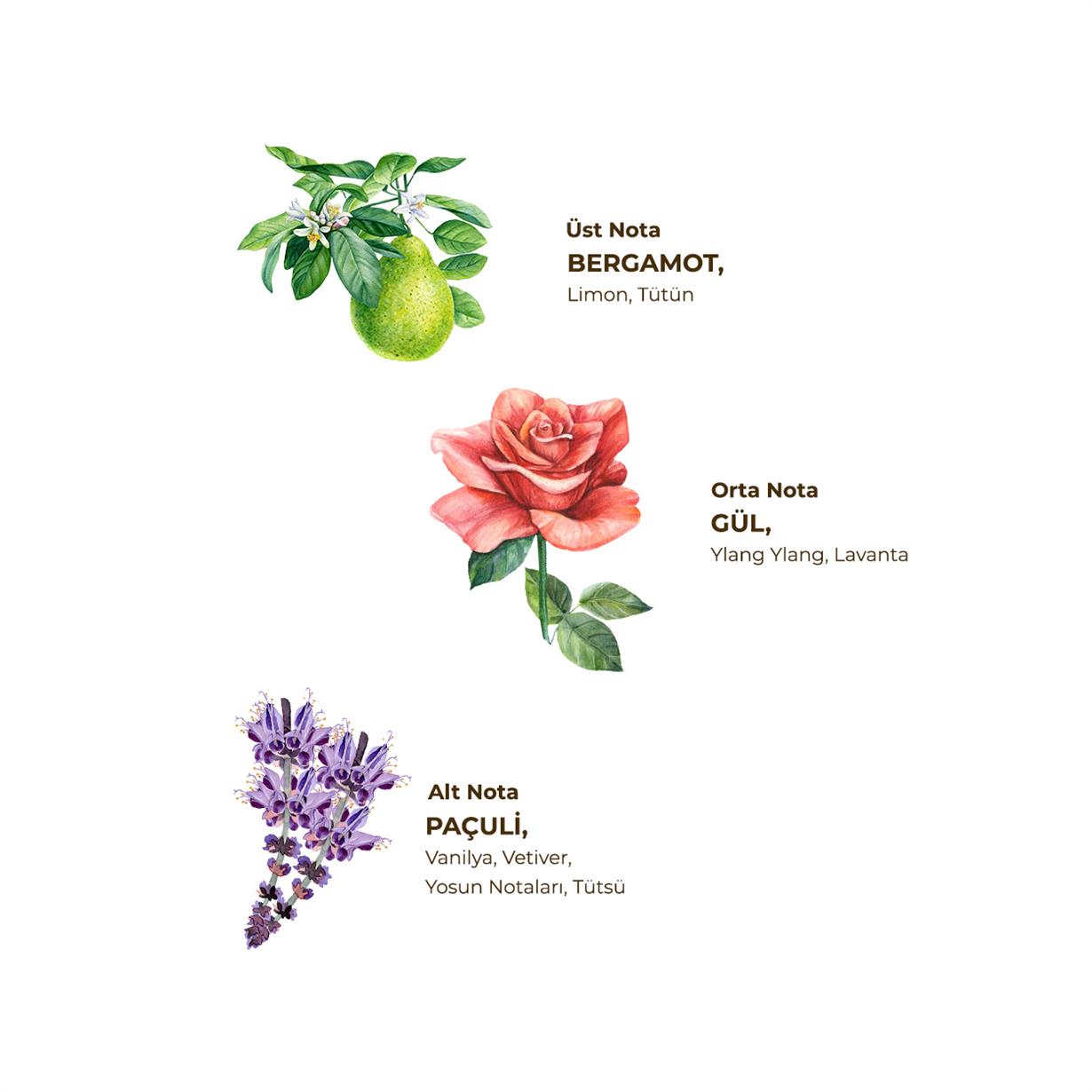 Tobacco Cologne 5 Liter - Bag in Box