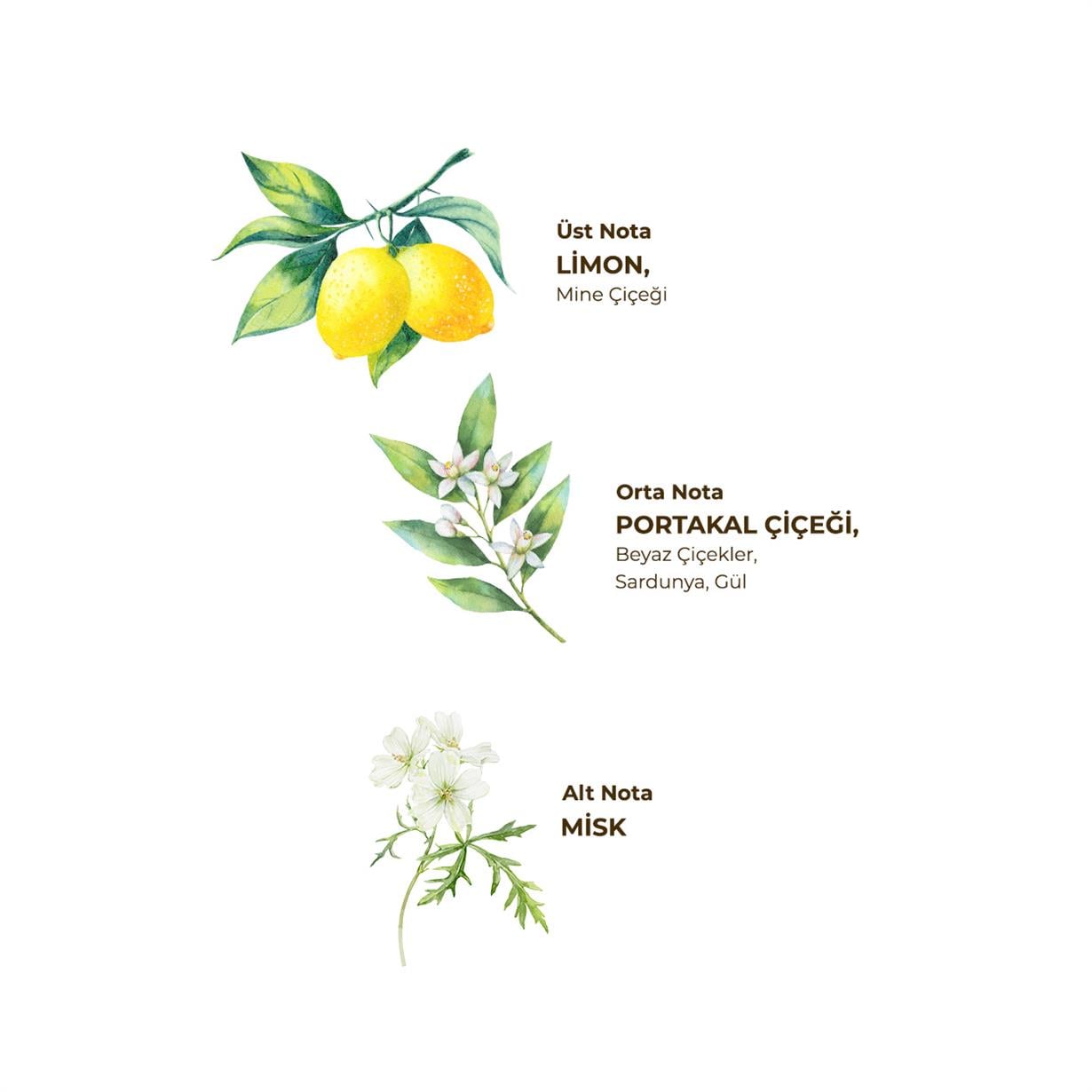 Verbena & Zinde Limon 150 ml Sprey Kolonya - Pet Şişe