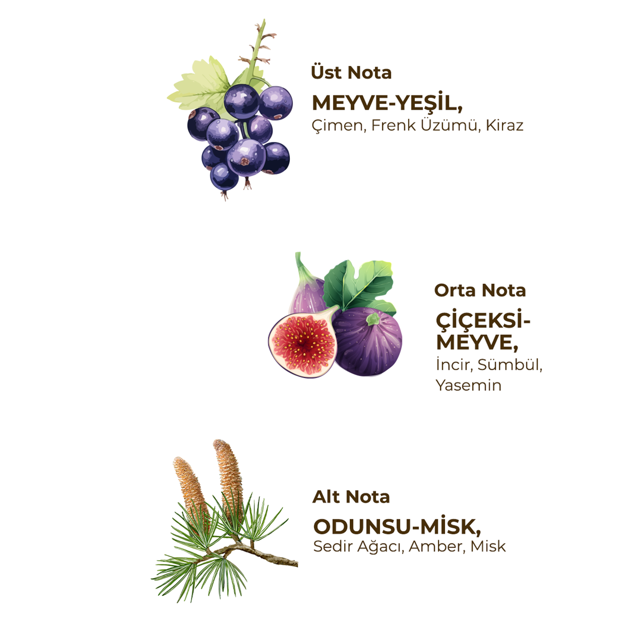 Wild Fig Eau De Cologne 150 ml