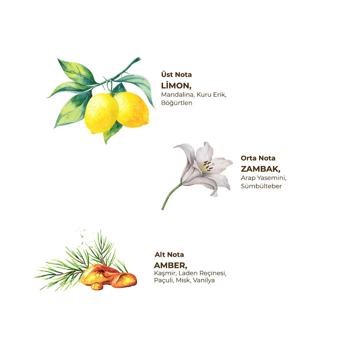 Yasemin Kolonyası 200 ml - Cam Şişe