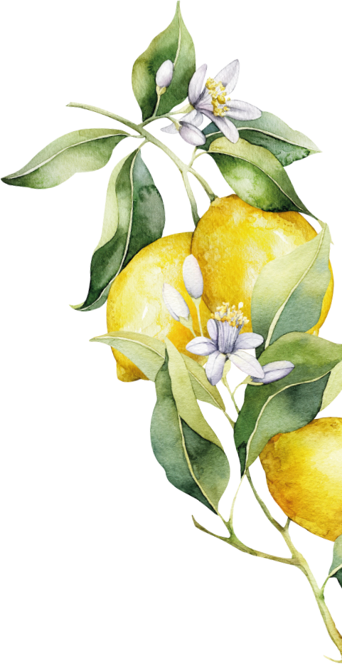 limon