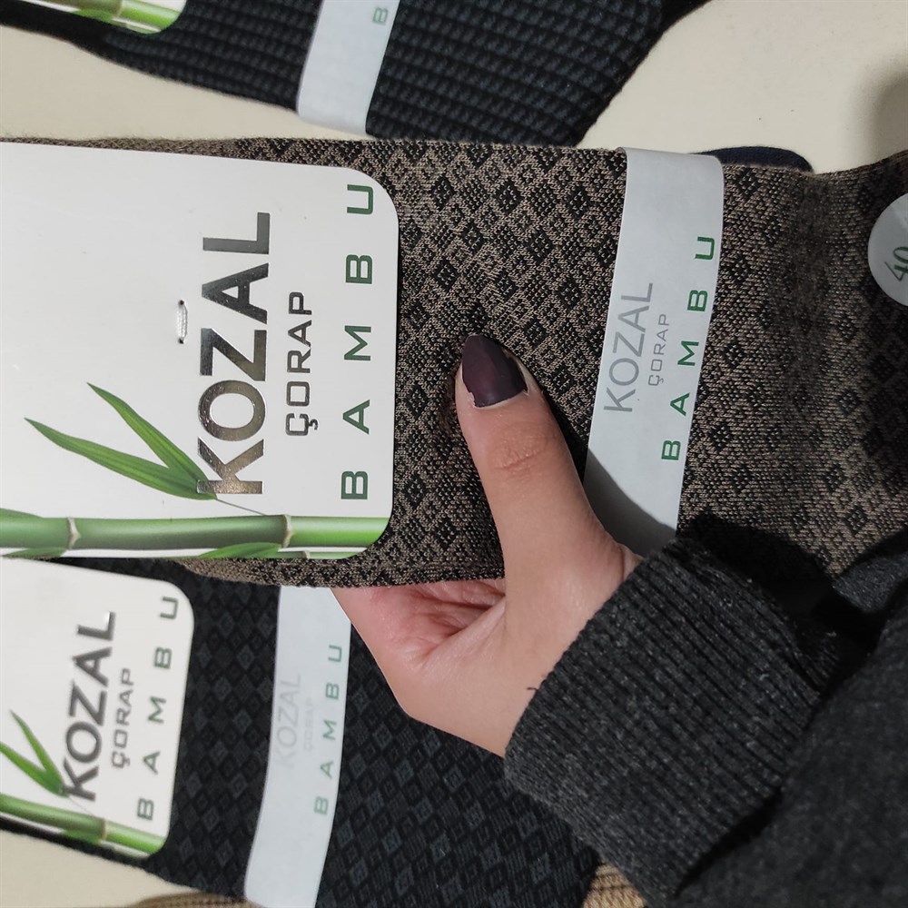 Kozal Erkek Bambu Çorap (KZL01-04)