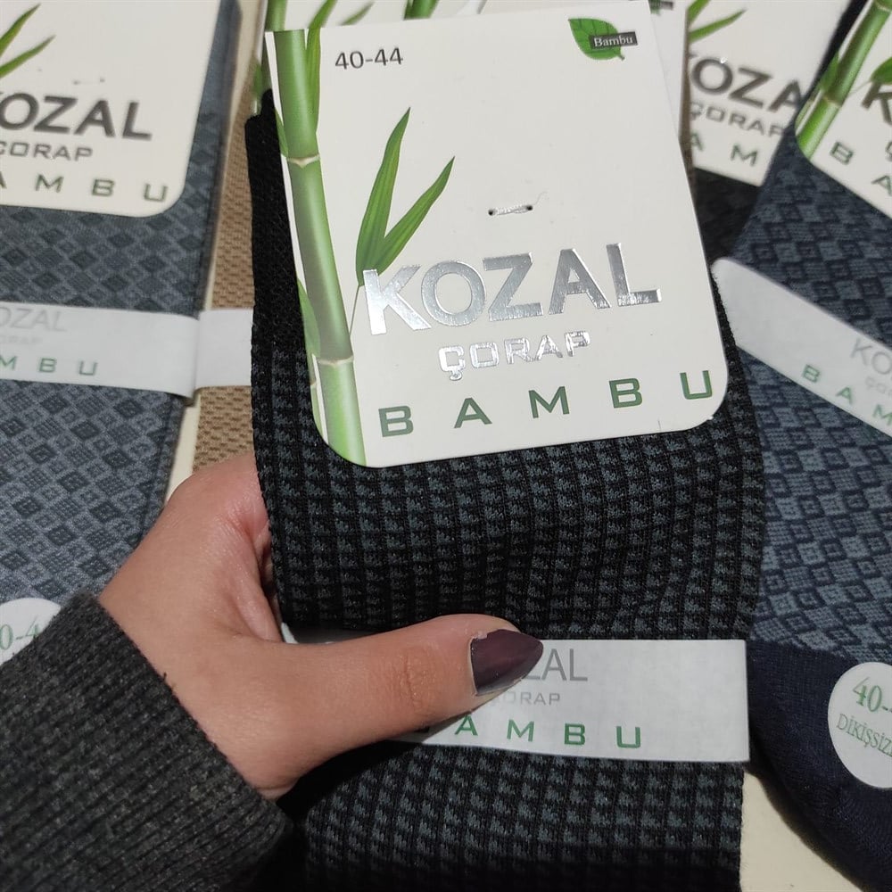 Kozal Erkek Bambu Çorap (KZL01-05)