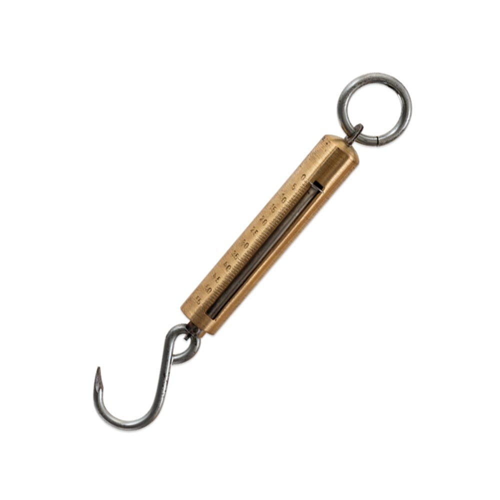 DEMSAN 55 Kg Sarı Çengelli Baskül