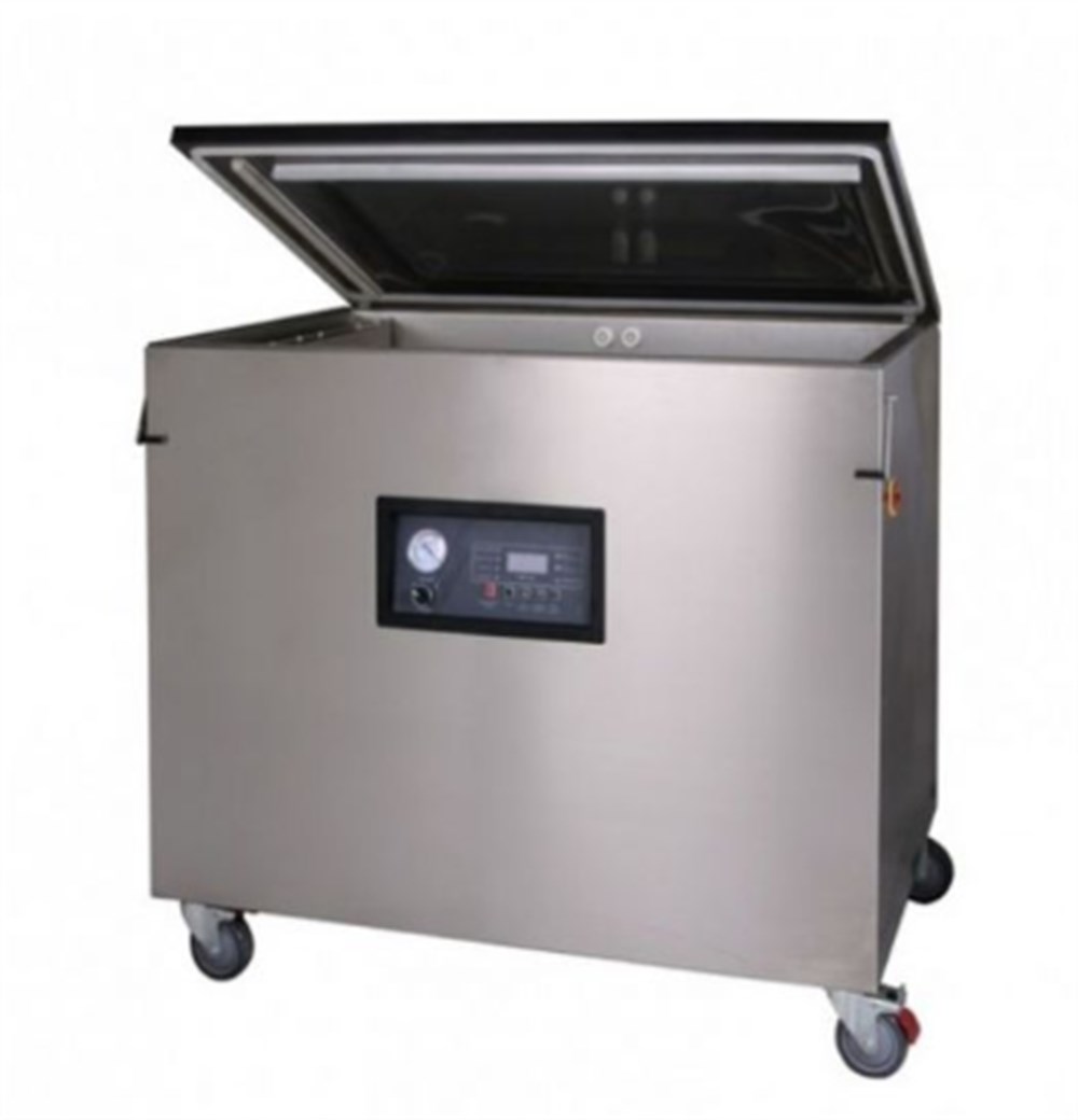DZ-800/2L Çift Çene Gıda Vakum Makinesi
