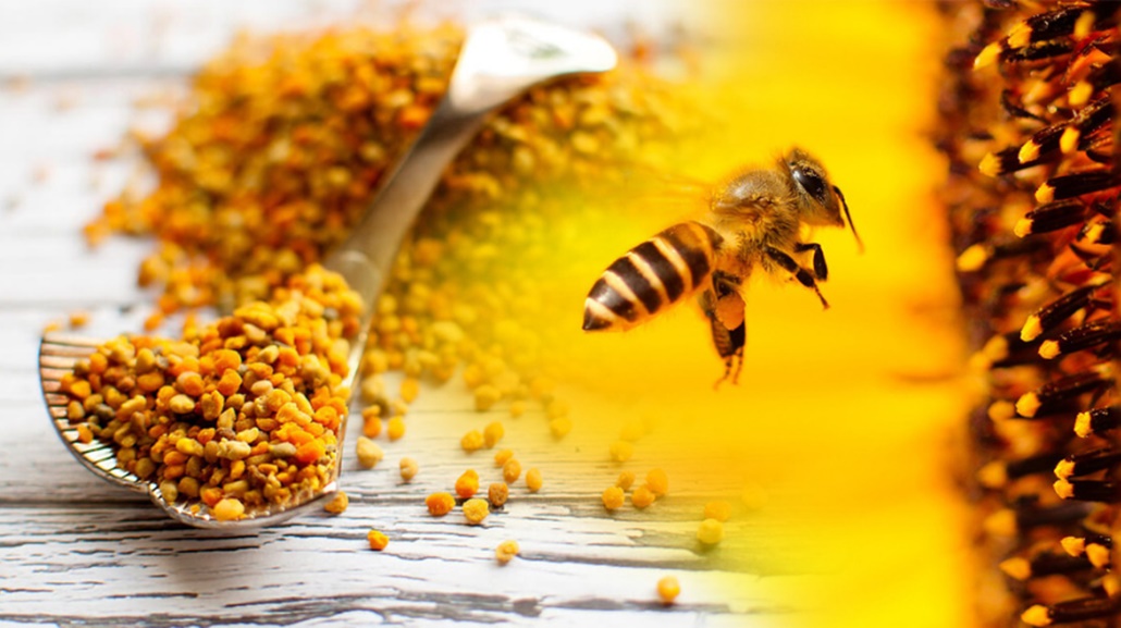 Arı Poleni ve Propolis Faydaları Nelerdir?
