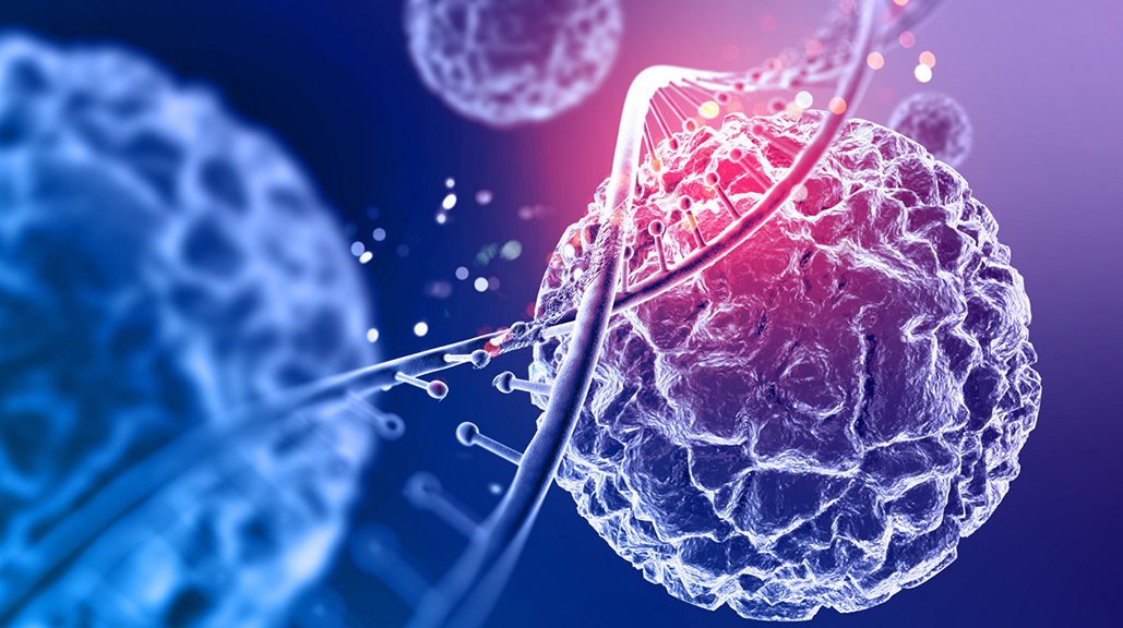 Vücudunuzda Dolaşan Kök Hücrelerin Potansiyelini Ortaya Çıkarın - Stemregen