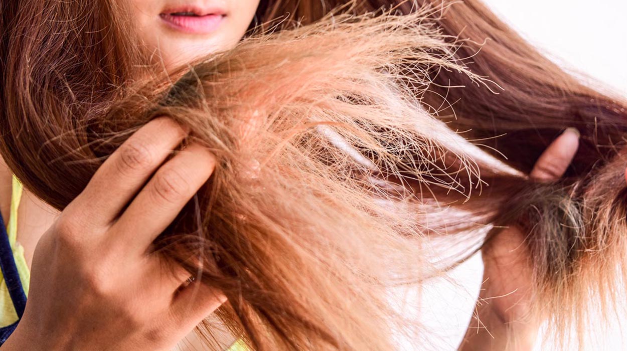 Yıpranmış Saçlara Bakım Nasıl Yapılır? | Dermoailem