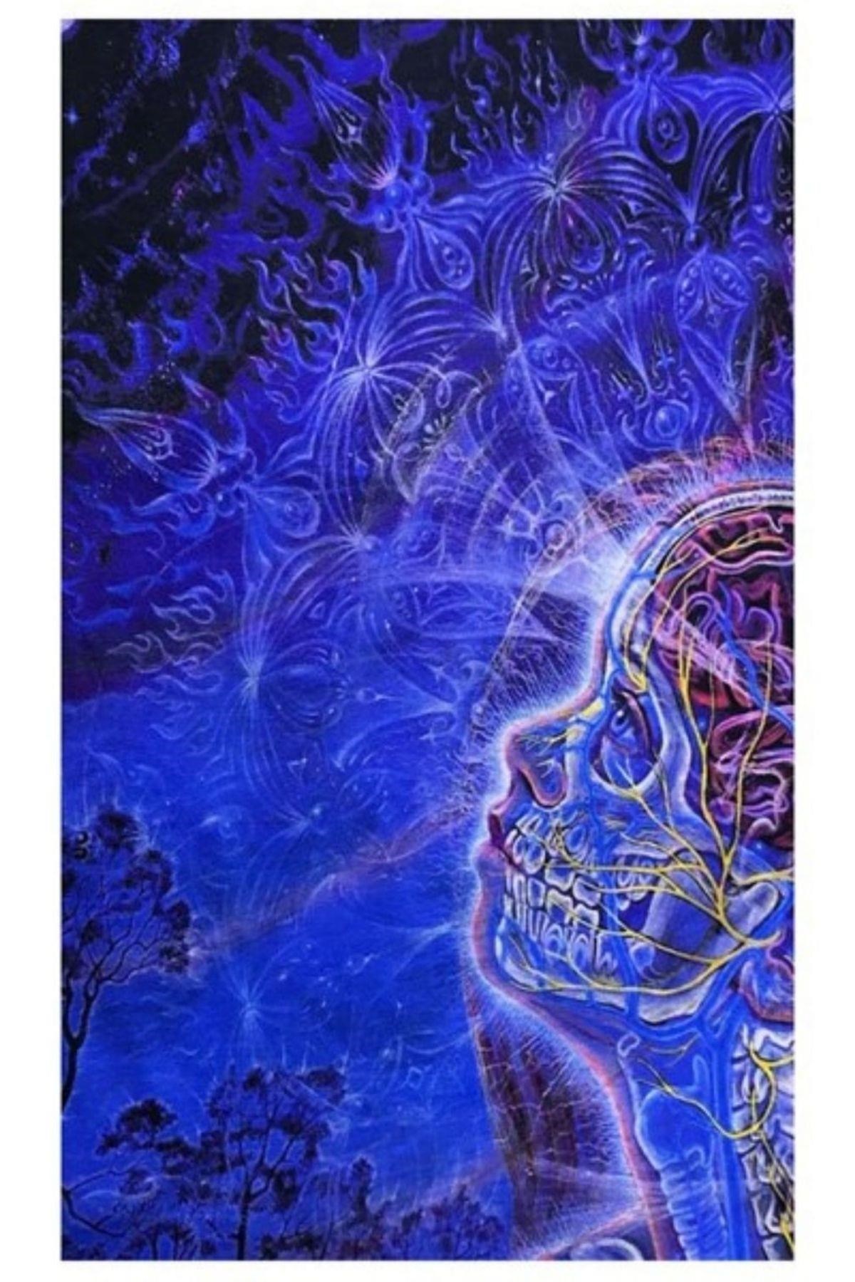 Amerika Birleşik DevletleriDünyadan HediyelerVOSBF-00365Keskin Hediyelik Eşya Ve Tekstilİskelet Temalı Buff Boyunluk Bandana Mavi No:152