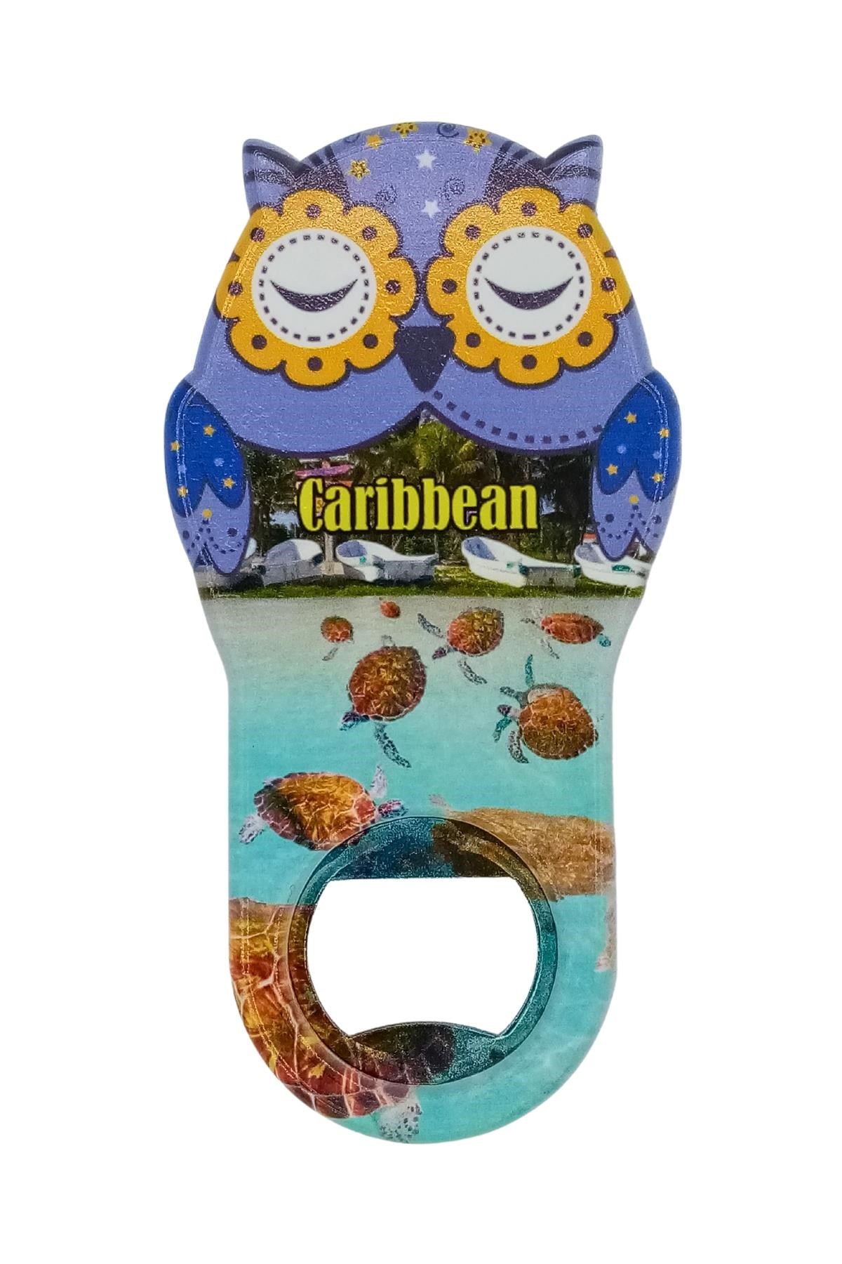 KarayiplerDünyadan HediyelerDNY-HD101063Keskin Hediyelik Eşya Ve TekstilKarayipler Temalı Baykuş Magnet Kapak Açacak