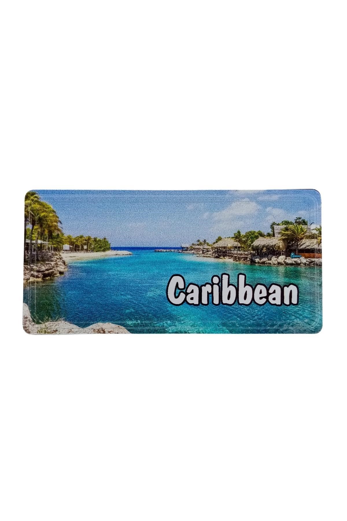 KarayiplerDünyadan HediyelerDNY-HD101315Keskin Hediyelik Eşya Ve TekstilKarayipler Temalı Plaka Magnet