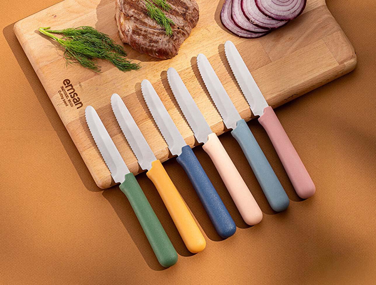 EMSAN RUSTİK STEAK BIÇAĞI SE MULTICOLOR