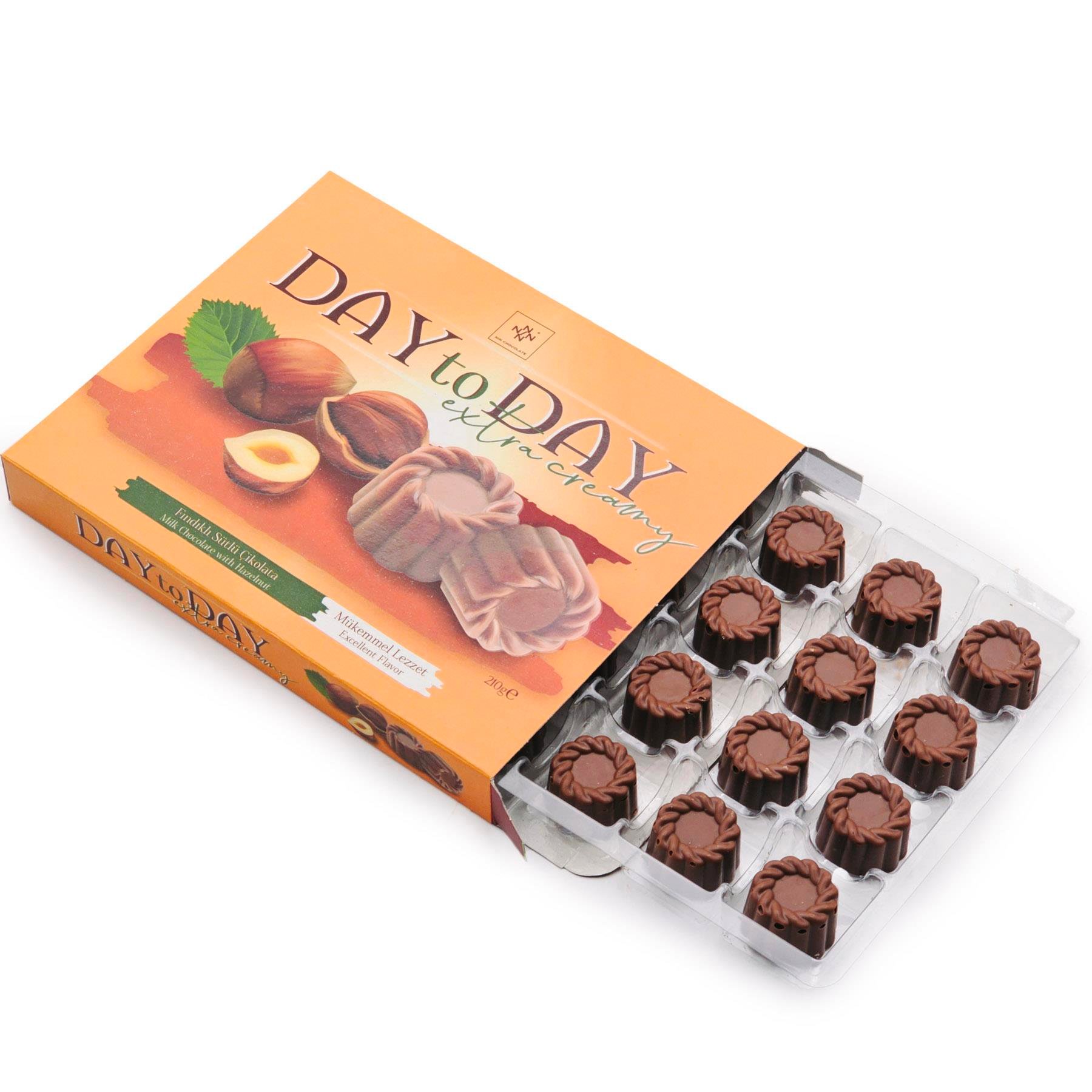 Day to Day Fındıklı Sütlü Çikolata