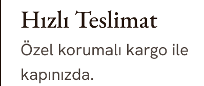 Hızlı Teslimat