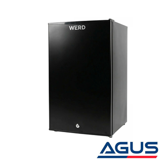 Werd 12V Kompresörlü Karavan Buzdolabı 95 Litre