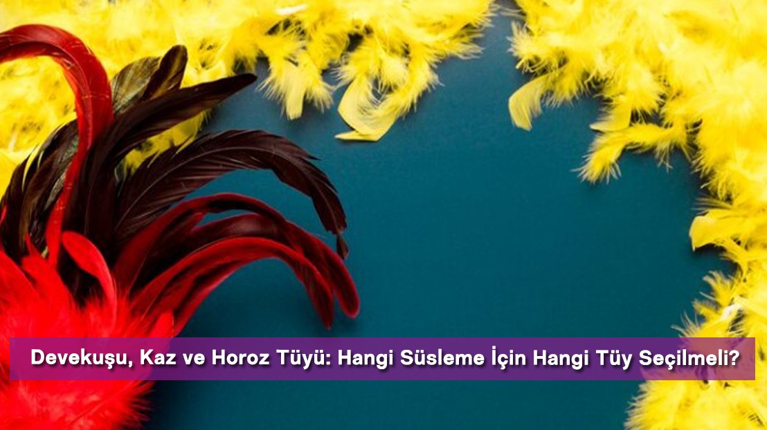 Devekuşu, Kaz ve Horoz Tüyü: Hangi Süsleme İçin Hangi Tüy Seçilmeli?
