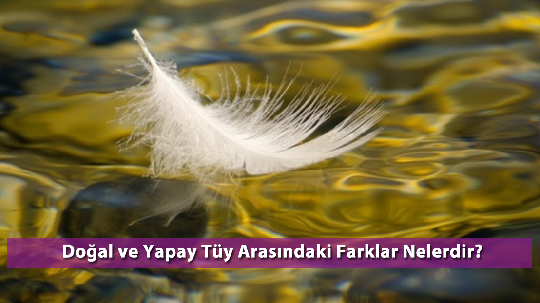 Doğal ve Yapay Tüy Arasındaki Farklar Nelerdir?