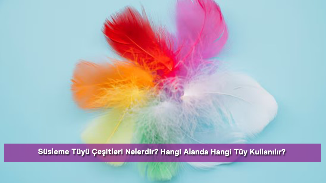 Süsleme Tüyü Çeşitleri Nelerdir? Hangi Alanda Hangi Tüy Kullanılır?
