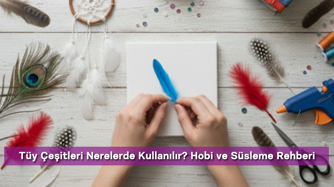 Tüy Çeşitleri Nerelerde Kullanılır? Hobi ve Süsleme Rehberi