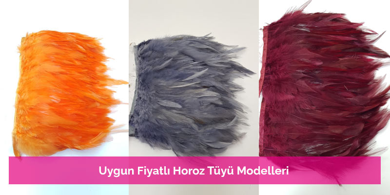 Uygun Fiyatlı Gine Tavuğu Tüyü Modelleri