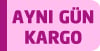 aynı gün