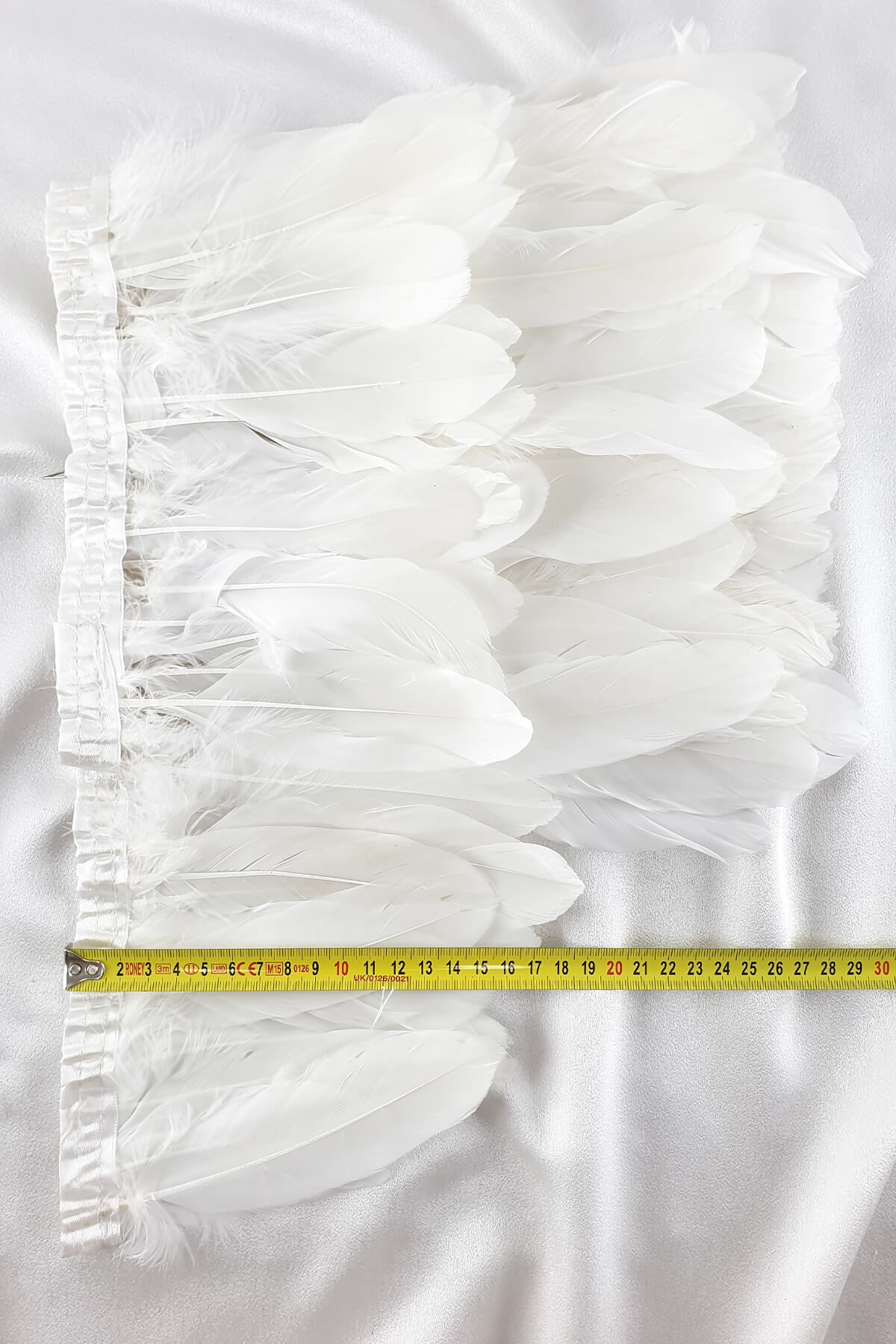 ريشة النسر الأبيض