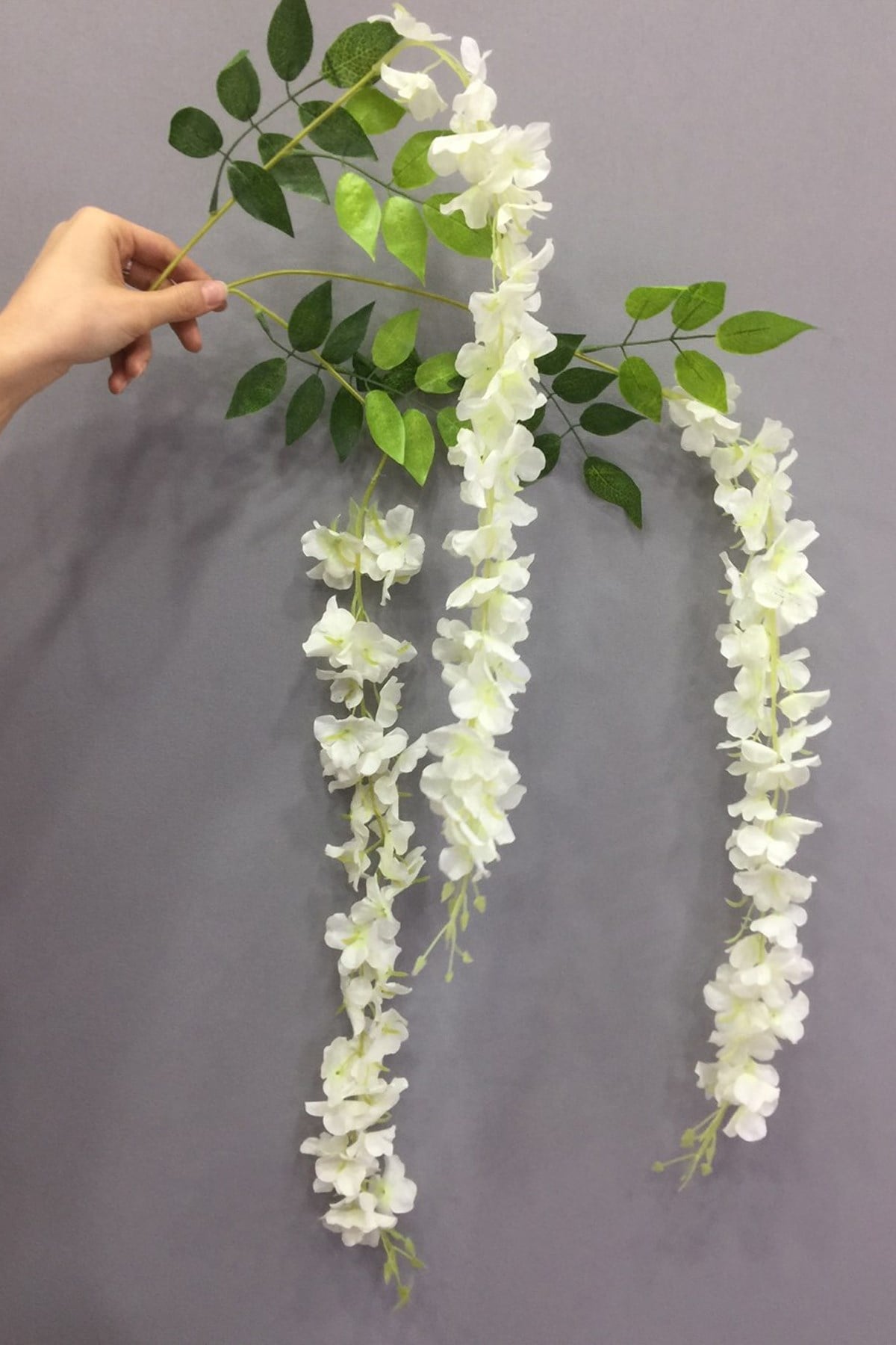 White Hyacinth Flower