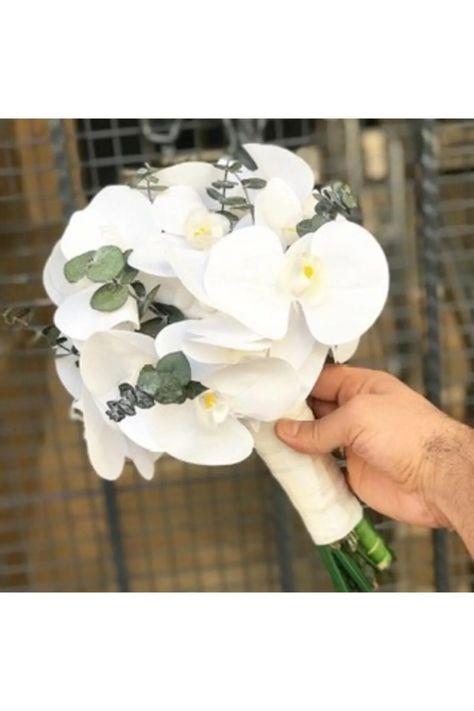 Canlı Dokulu Orkideli Gelinçiçeği