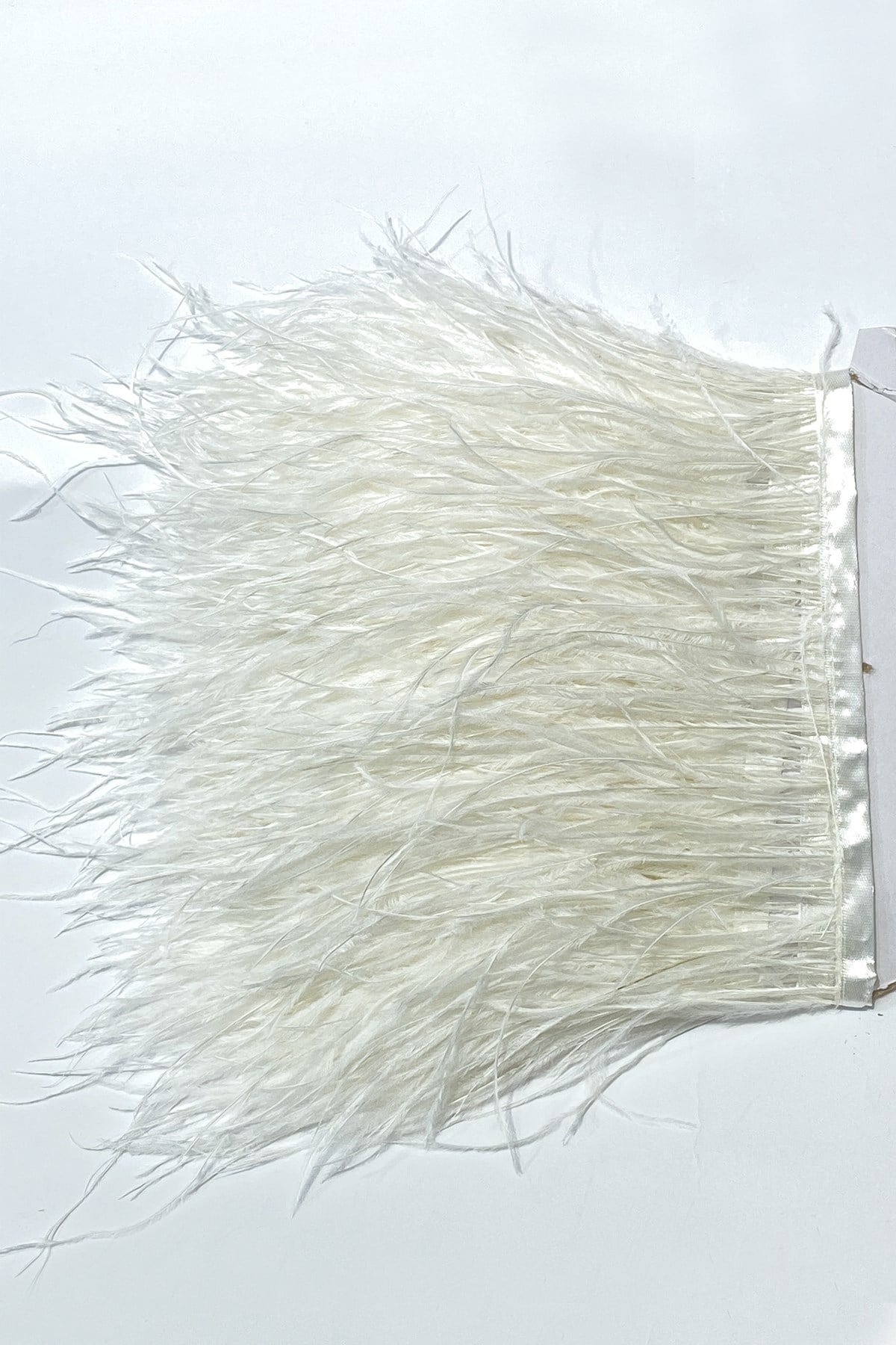 Ostrich Feather 1 mt