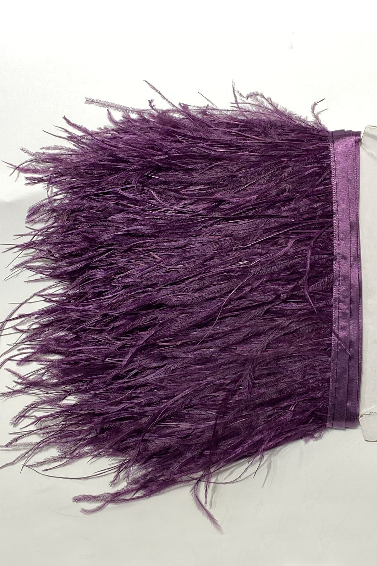 Ostrich Feather 1 mt