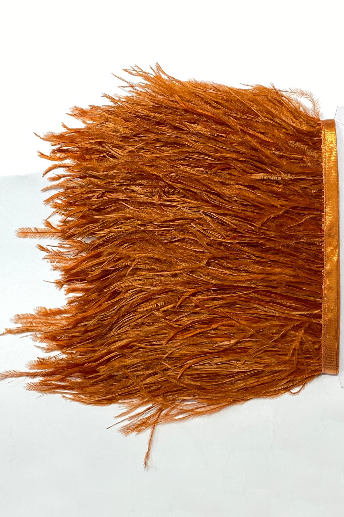 Ostrich Feather 1 mt