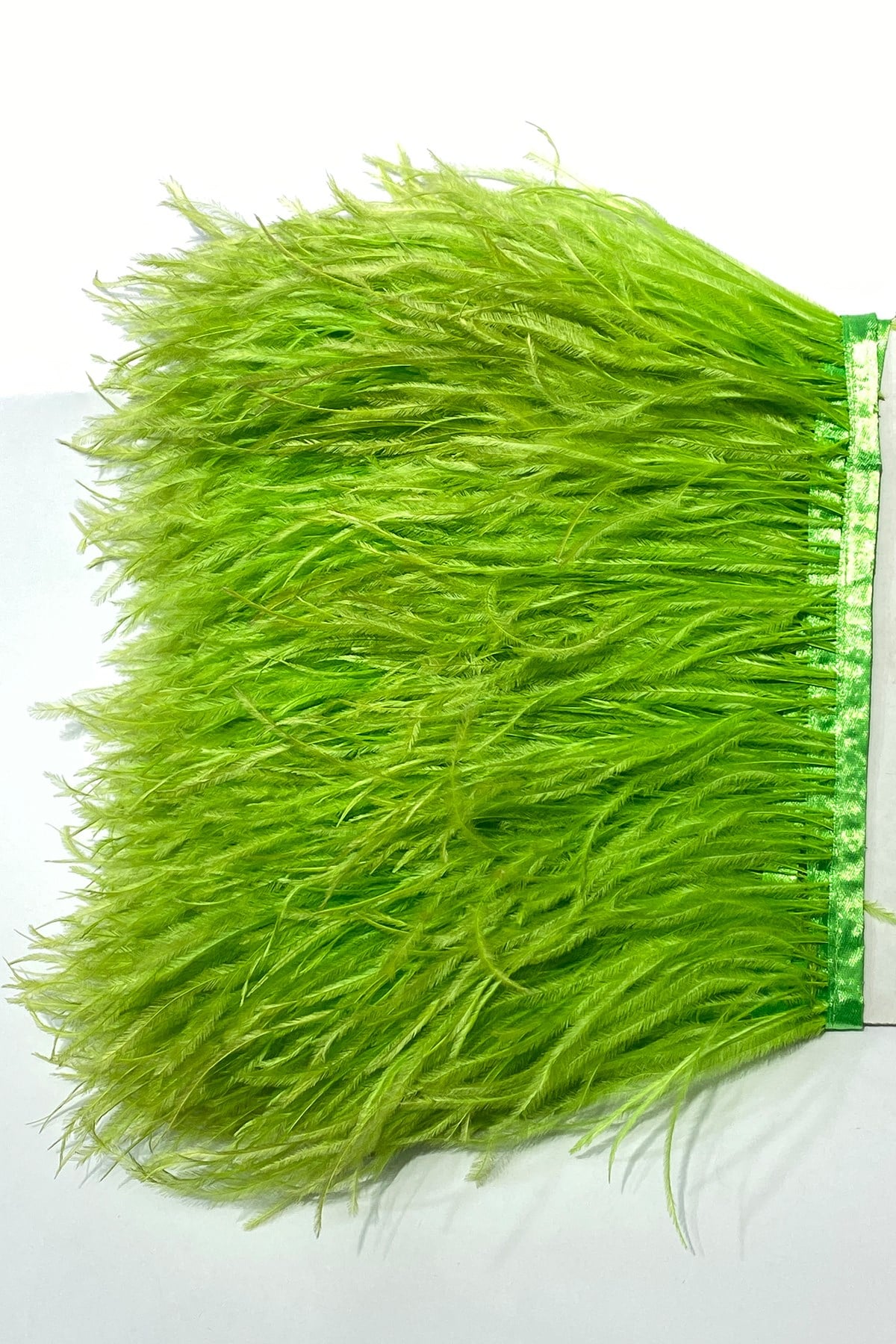 Ostrich Feather 1 mt