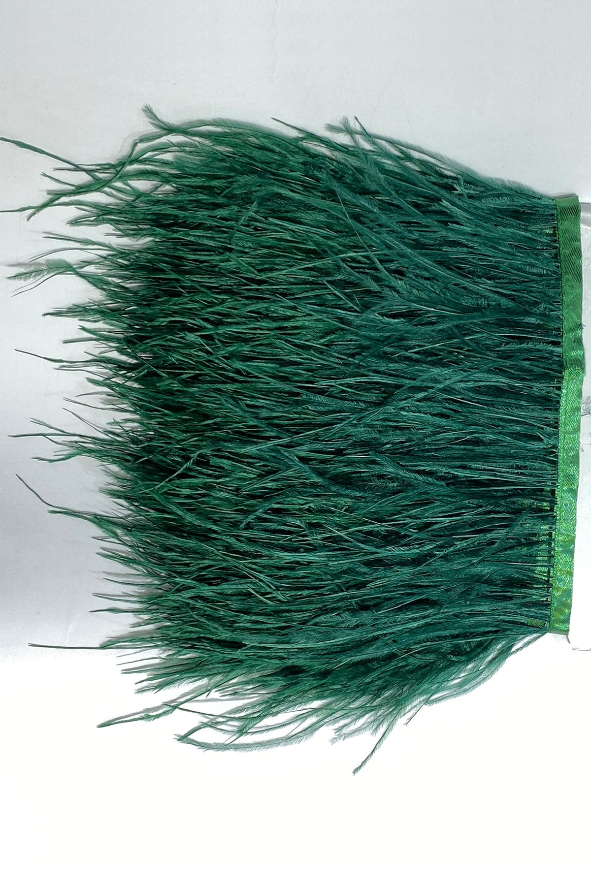 Ostrich Feather 1 mt