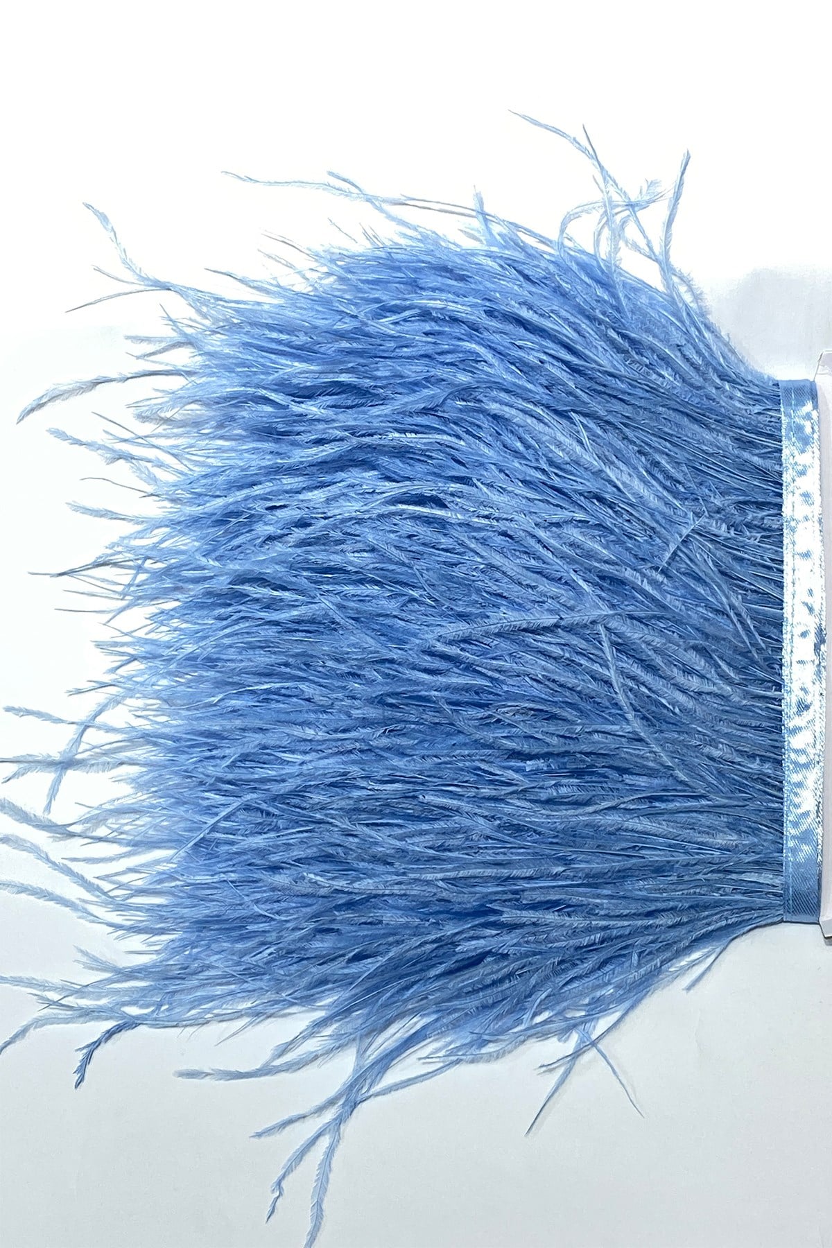 Ostrich Feather 1 mt