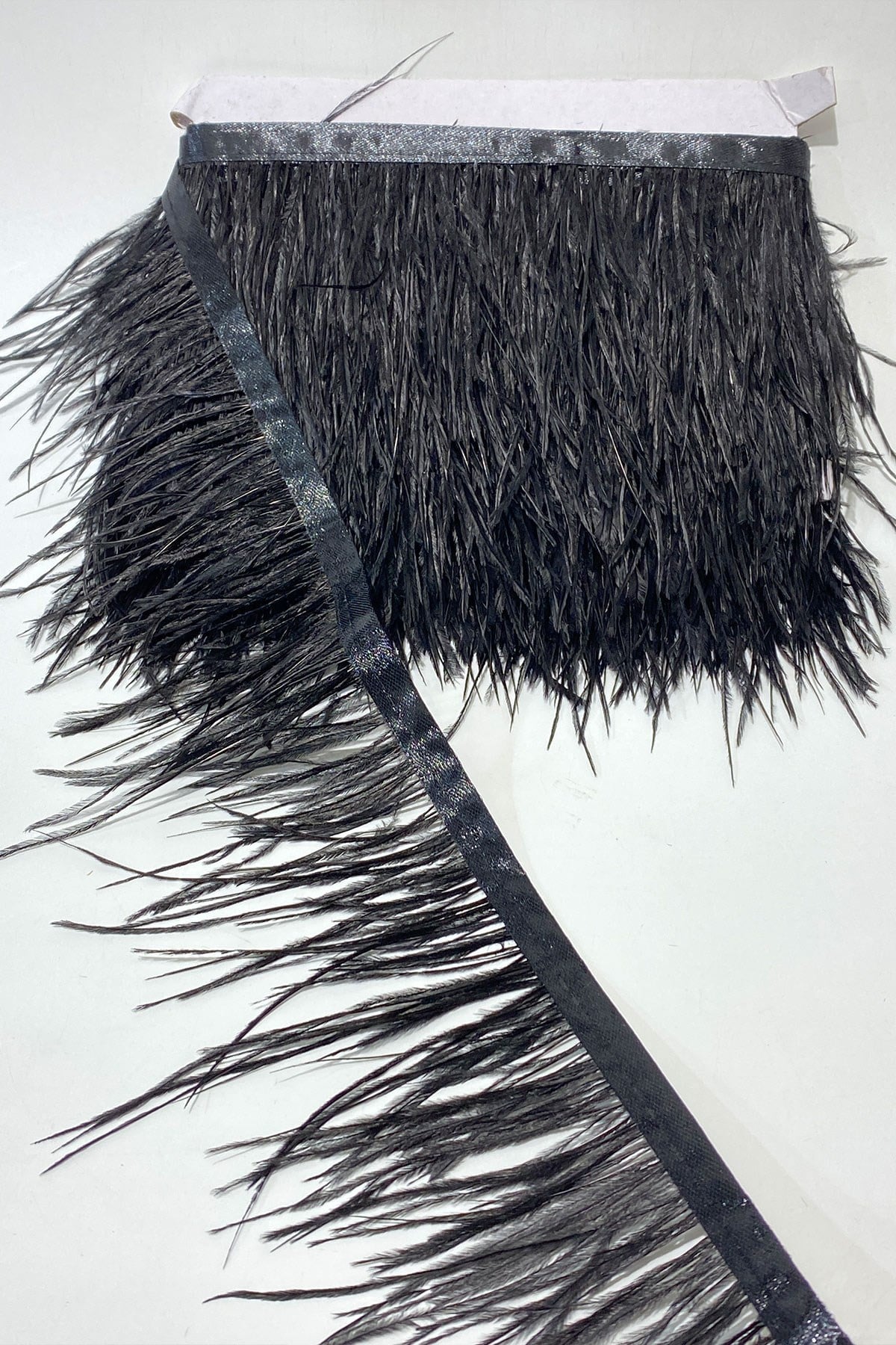 Ostrich Feather 5 Mt