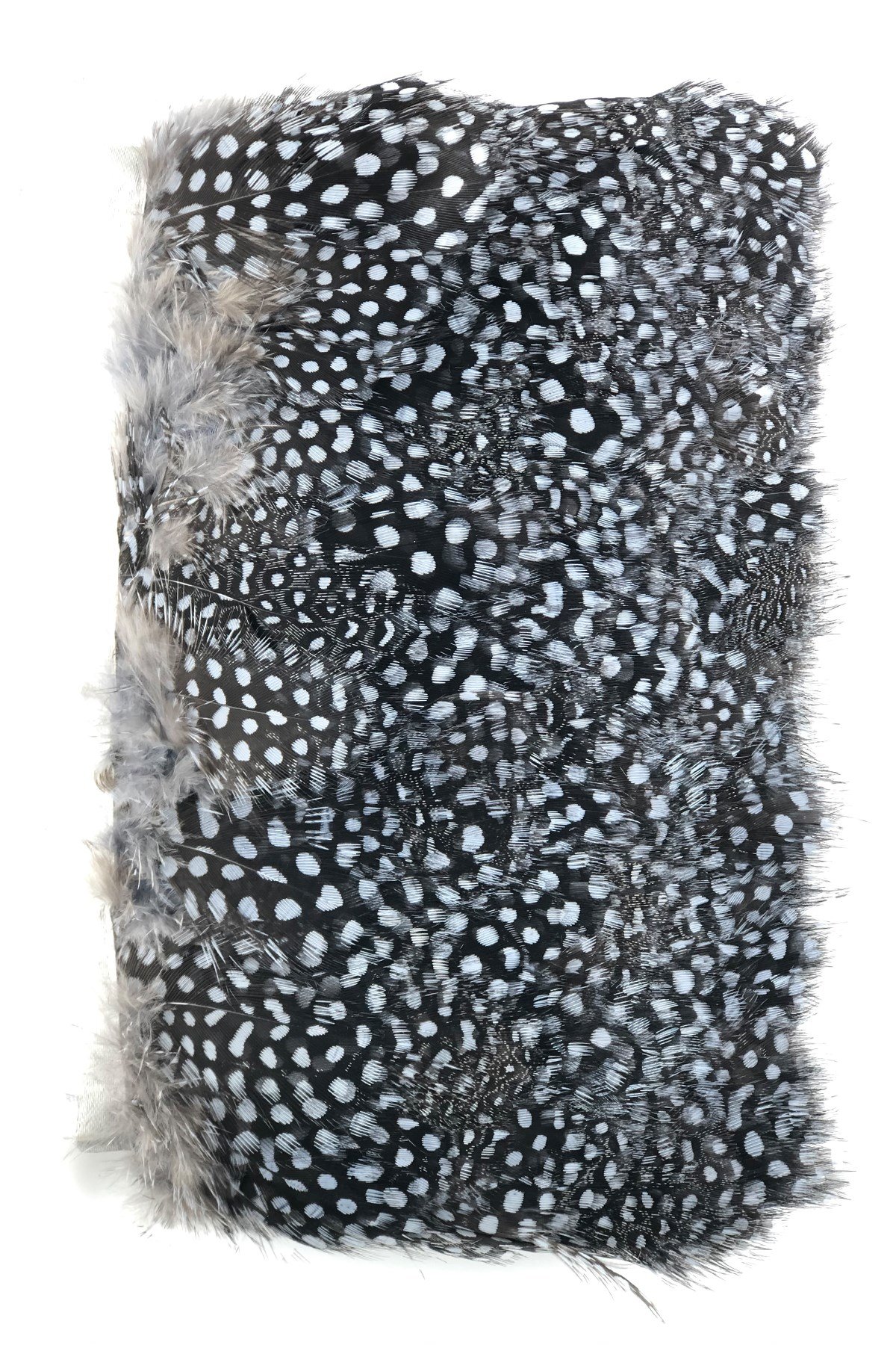 Gri Siyahlı Puanlı Gine Tavugu Tüyü