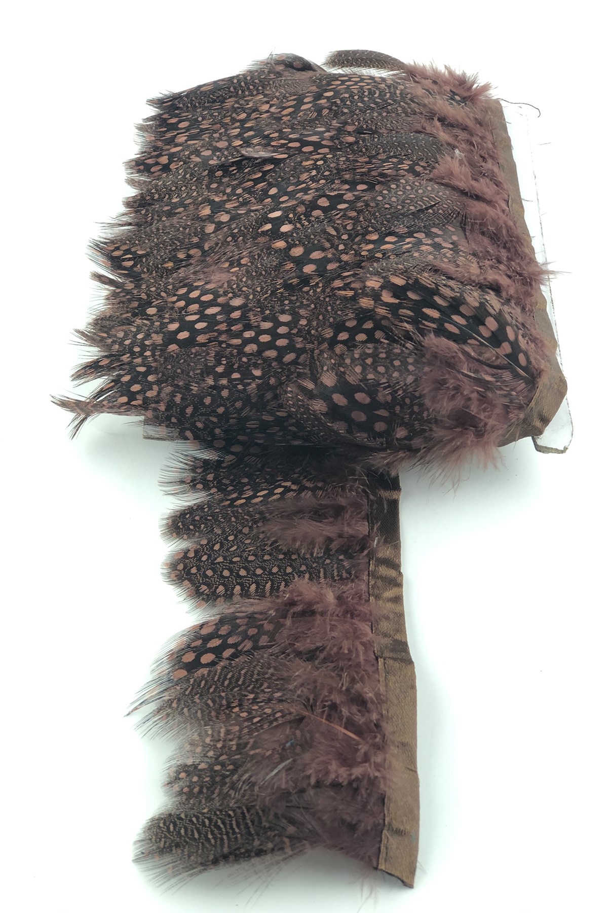 Brown-Spotted Guinea Chicken Feather