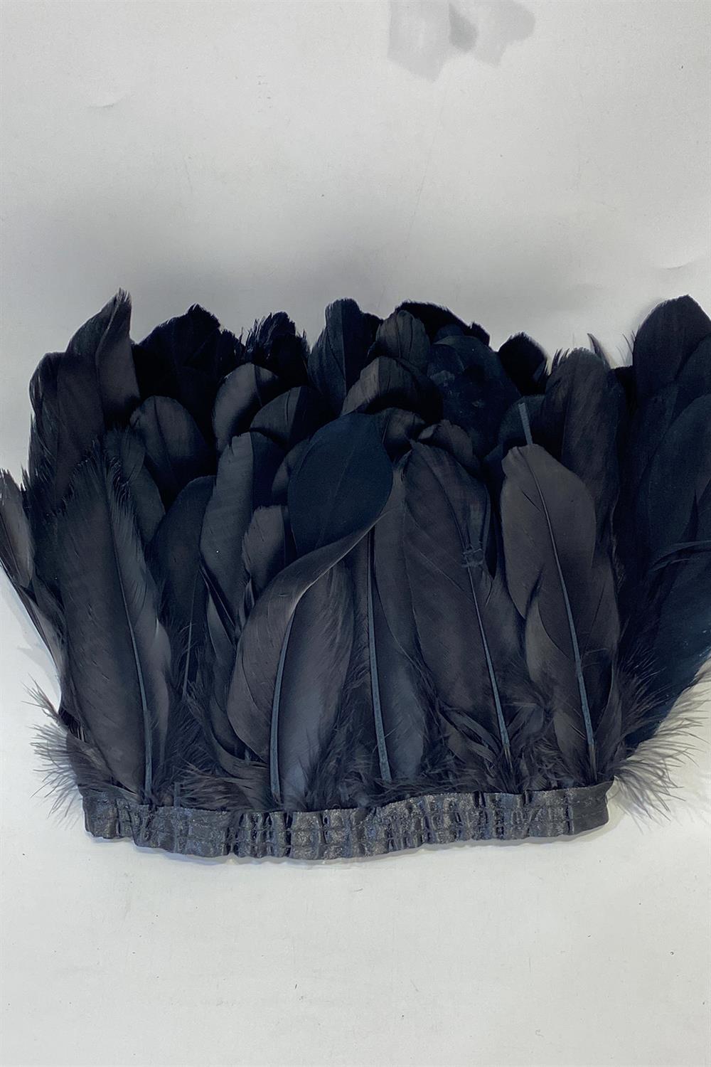 ريشة طائر النسر 1 جبل