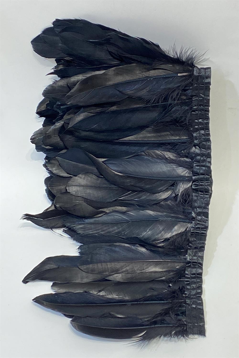 ريشة طائر النسر 1 جبل