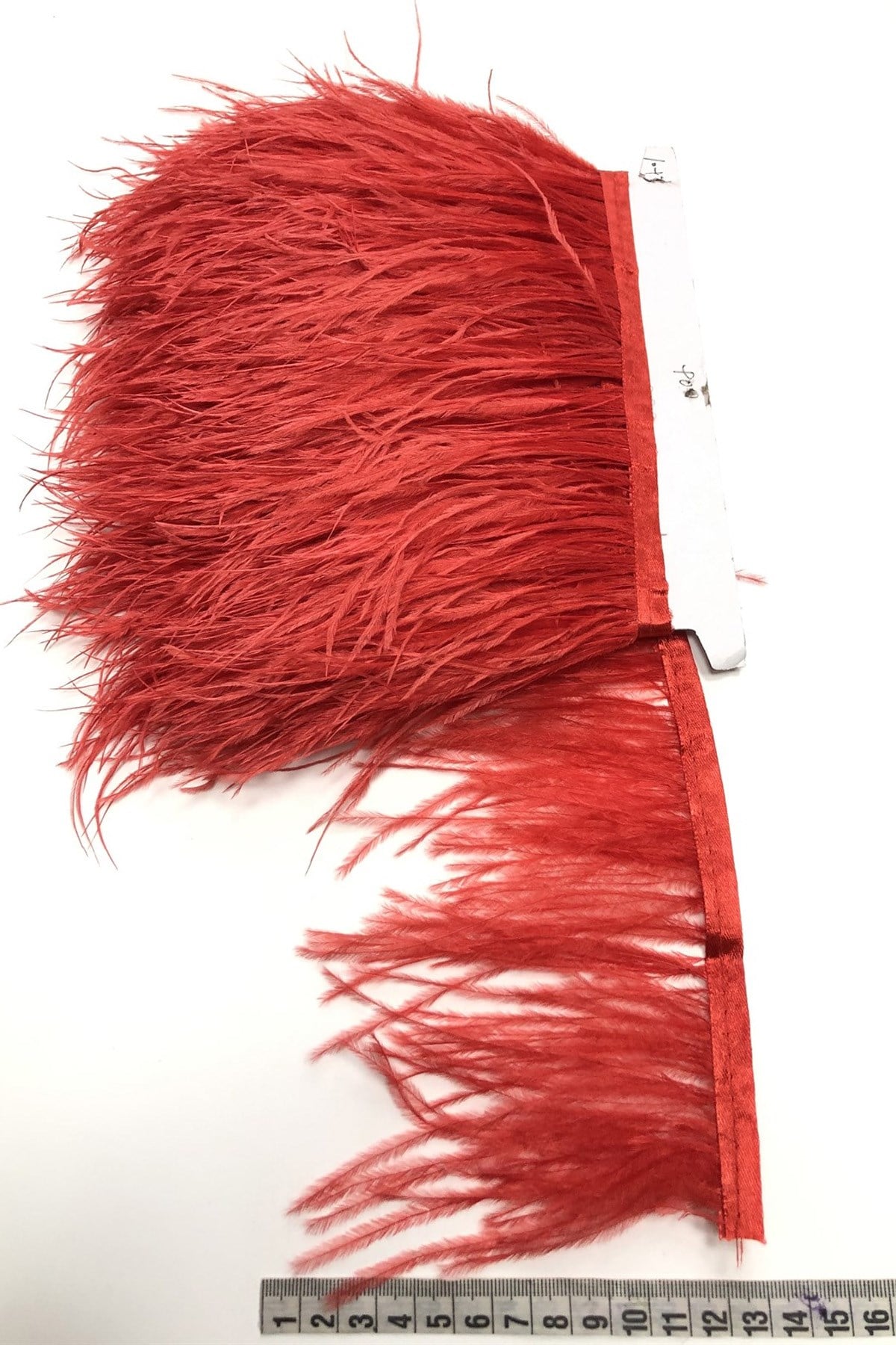 Red Ostrich Feather 1 mt