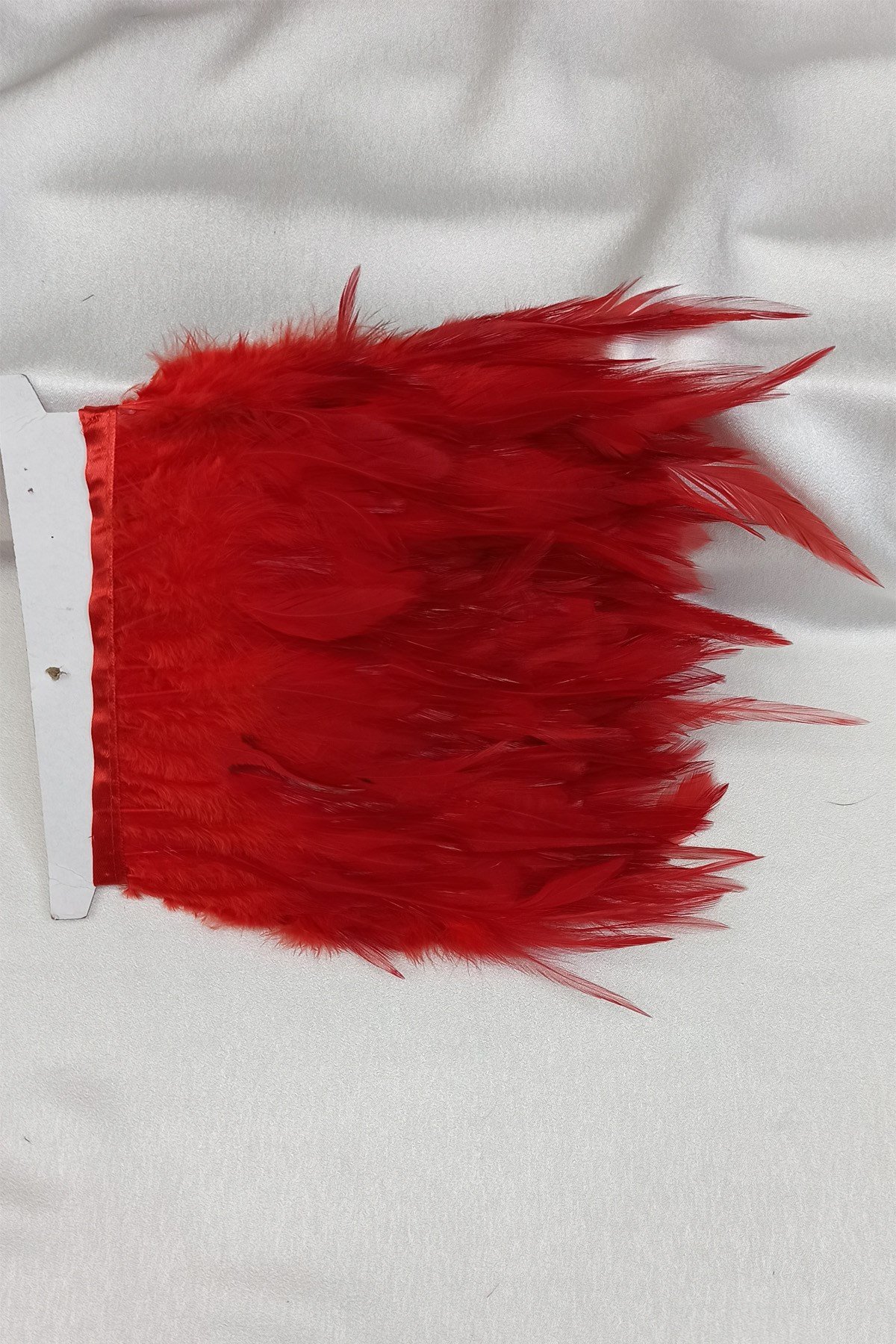 Kırmızı Horoz Tüyü 