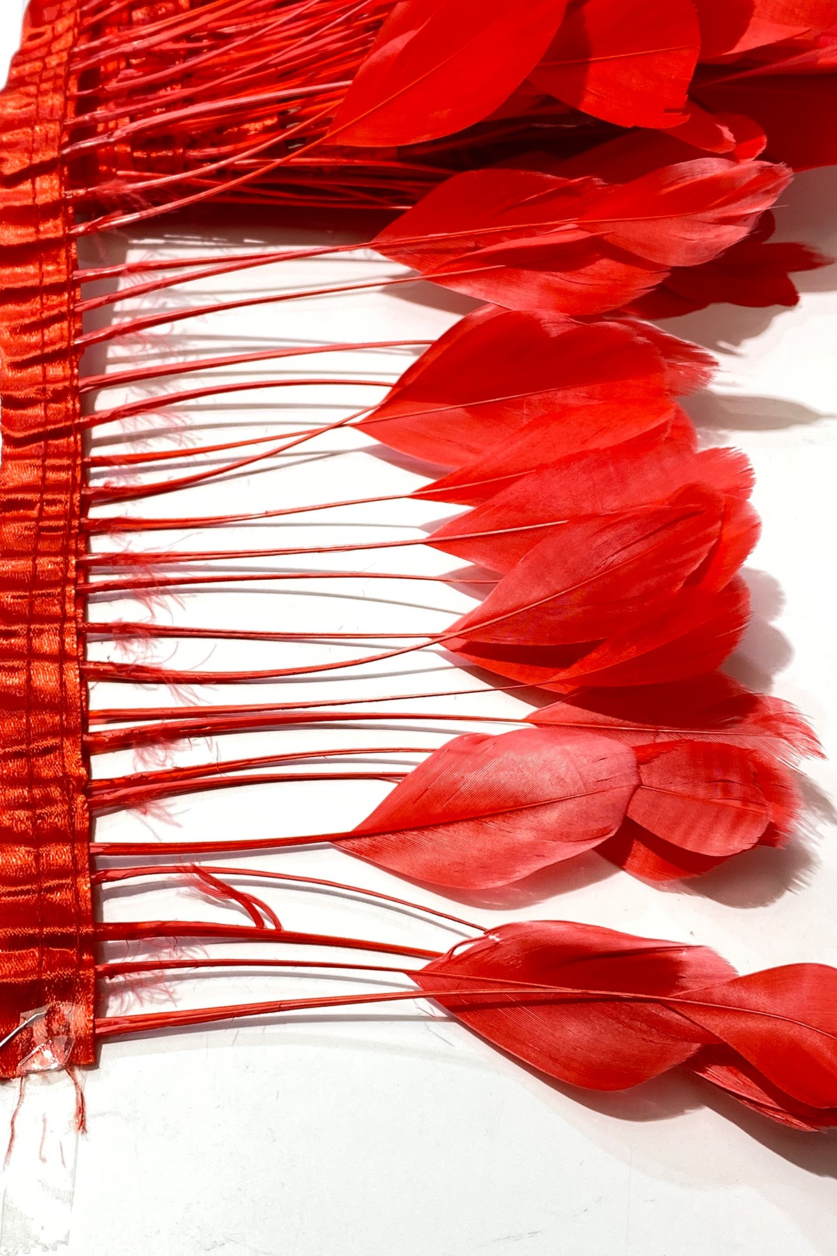 Red Malibu Ostrich Feather