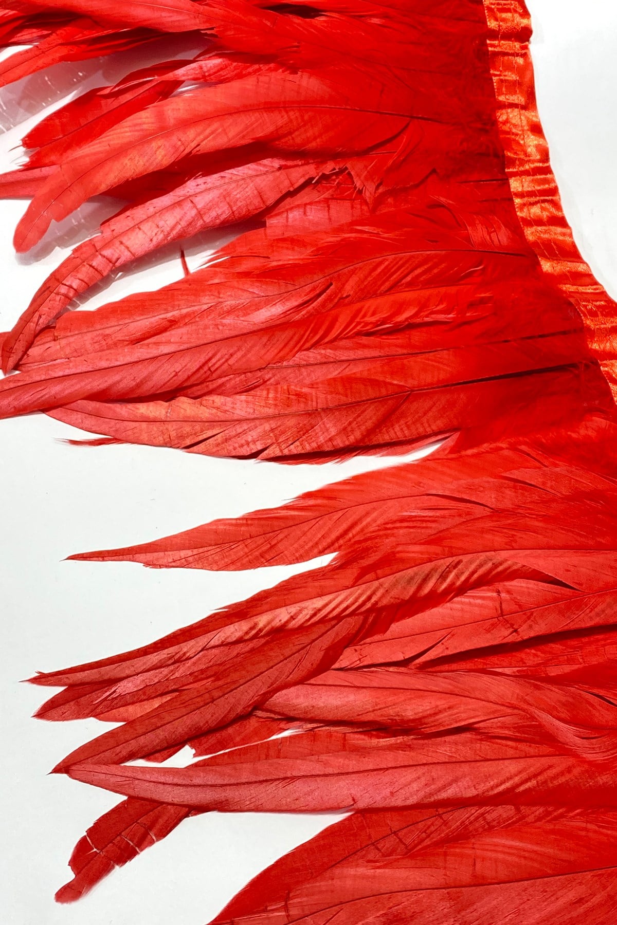 Red Long Chandel Feather 1 mt