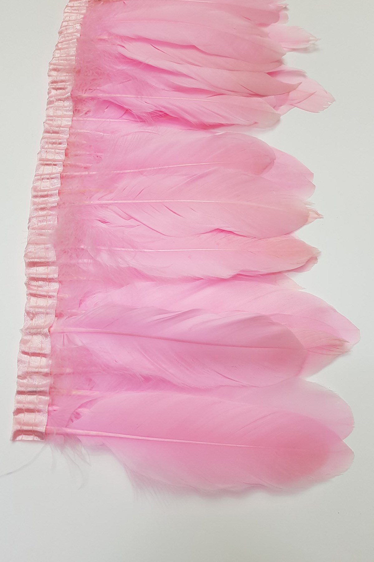 Dark Pink Eagle Feather 1 mt