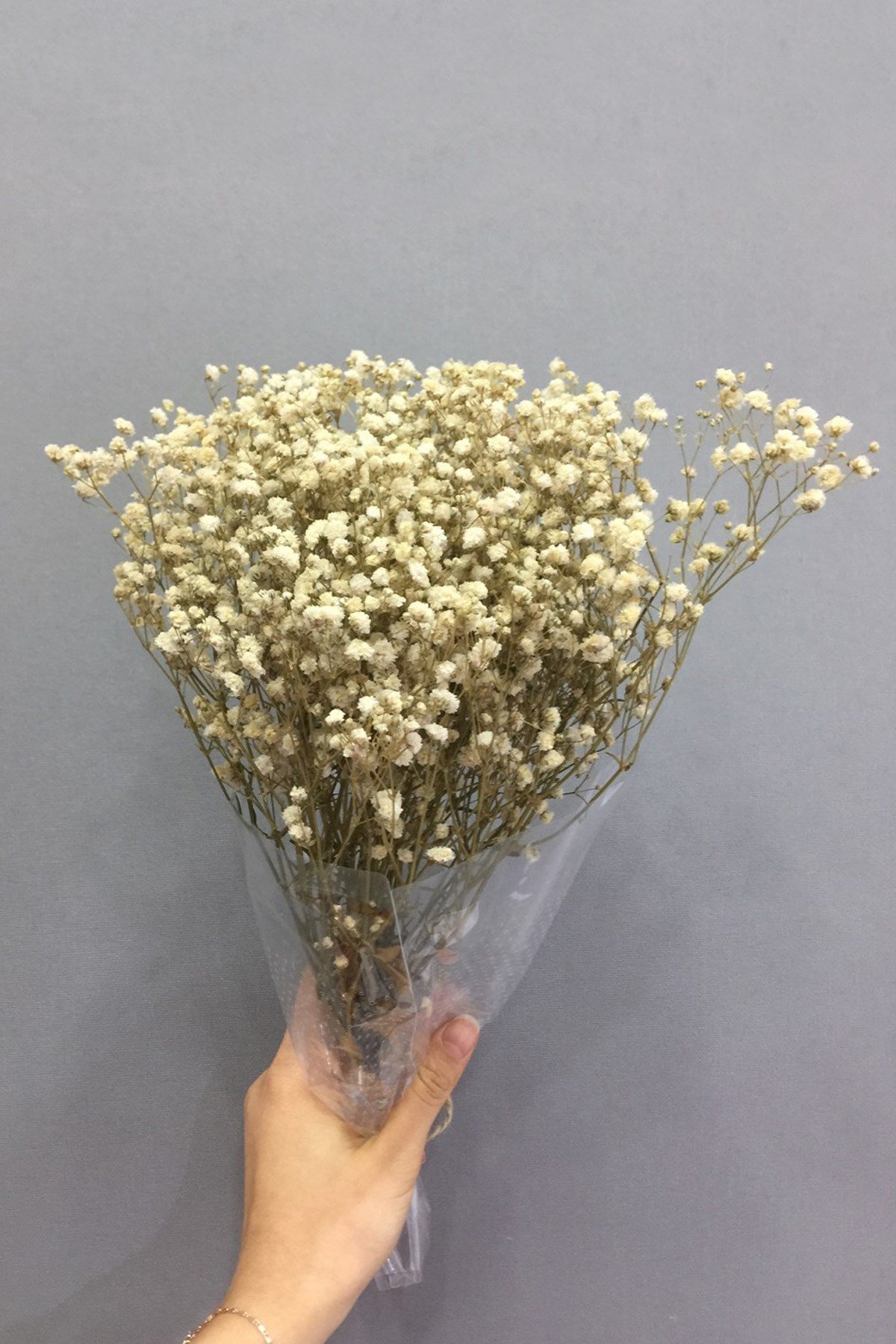 Cream Chips Shocked Dried Flower