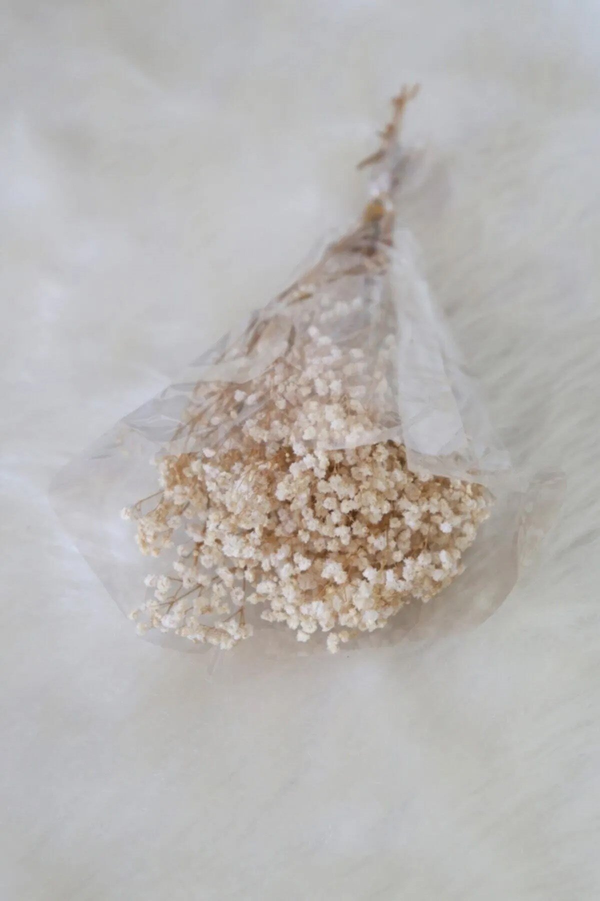 Kuru Çiçek Şoklanmış Cipso