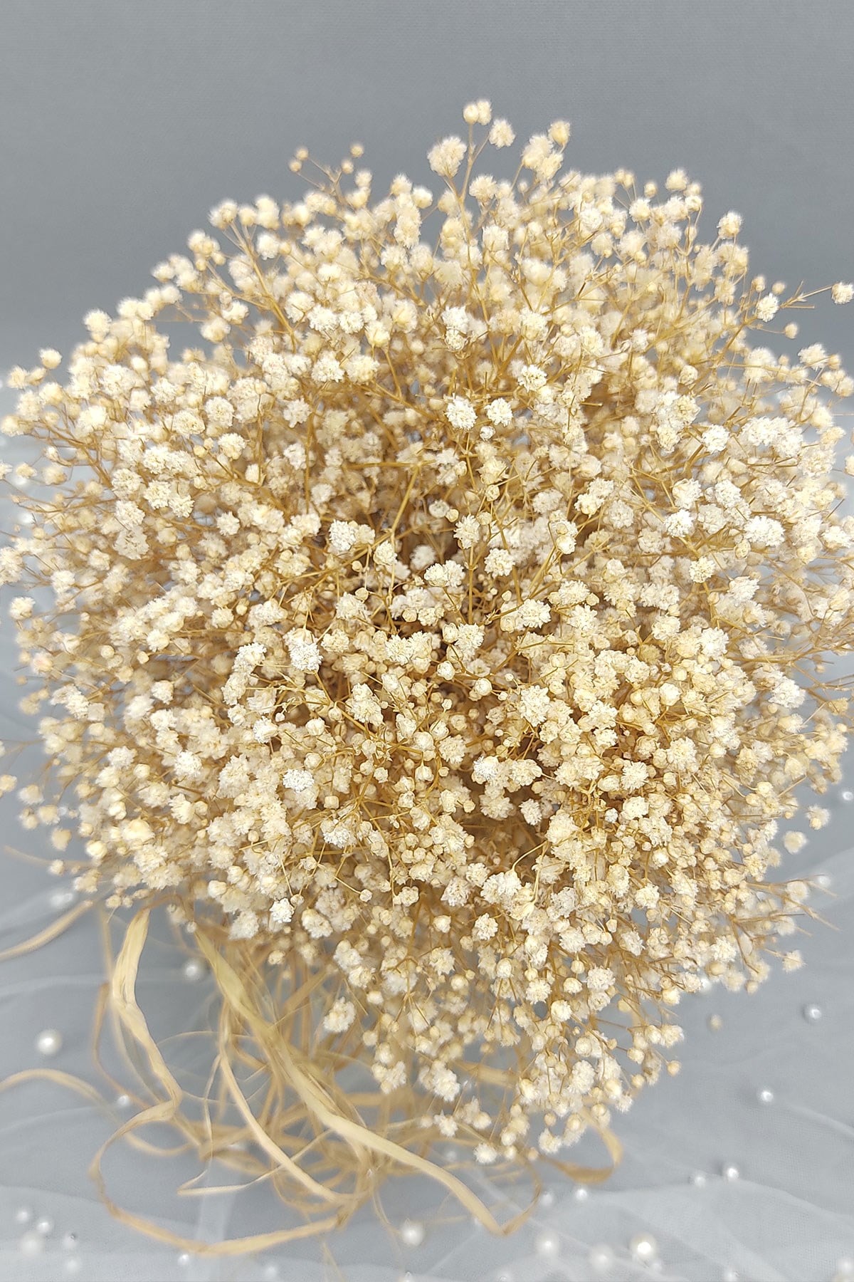 Dried Frozen Chipso Bride Hand Flower And Groom Boutonniere