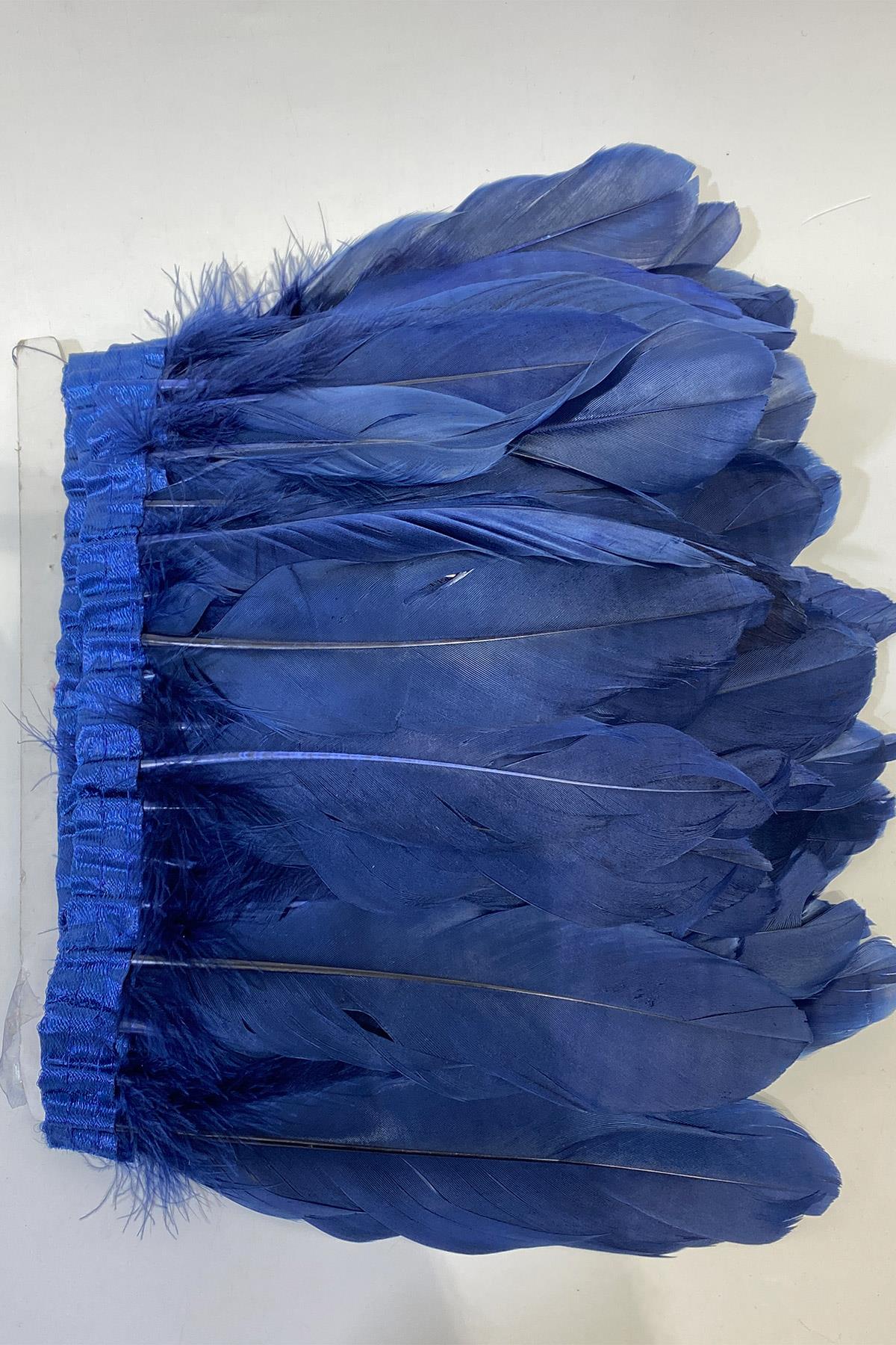 ريشة ريشة النسر الأزرق الداكن