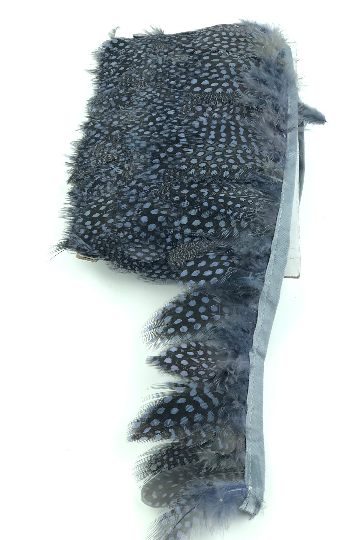 Mavi Gri Puanlı Gine Tavugu Tüyü