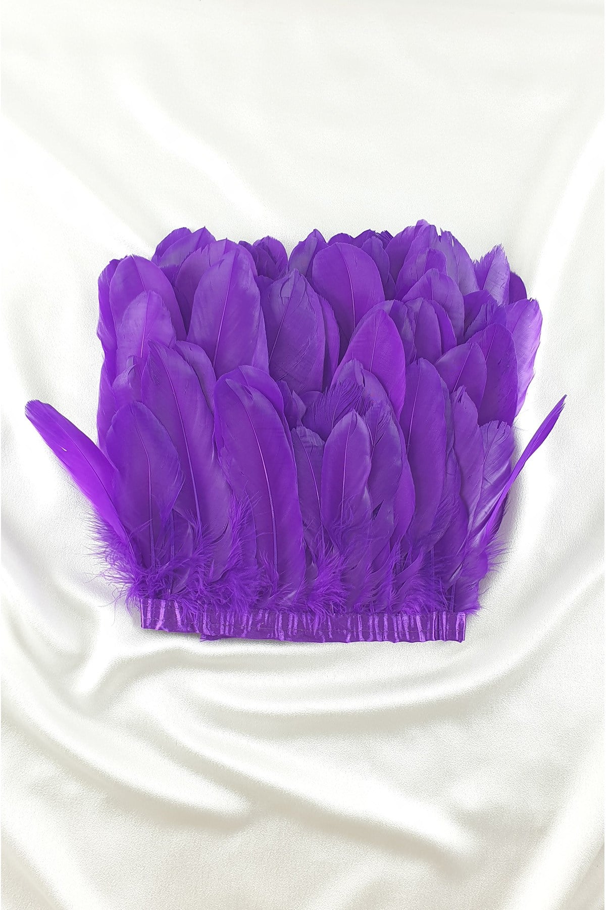 Purple Eagle Feather